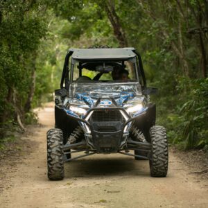 junglebuggy3-1440x1440